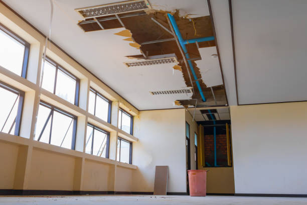 Best Water damage restoration insurance claims  in Advae, NC