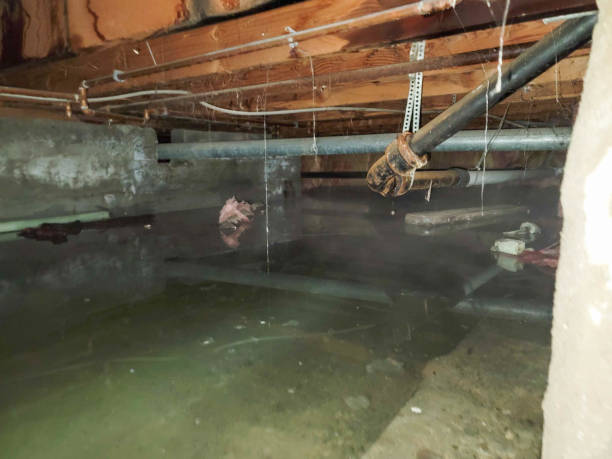 Local water damage restoration in Advance, NC