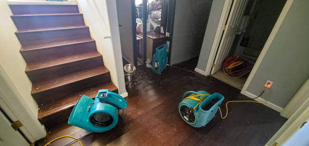 Best 24/7 water damage repair  in Advae, NC