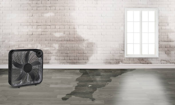 Professional Water damage restoration in Advance, NC