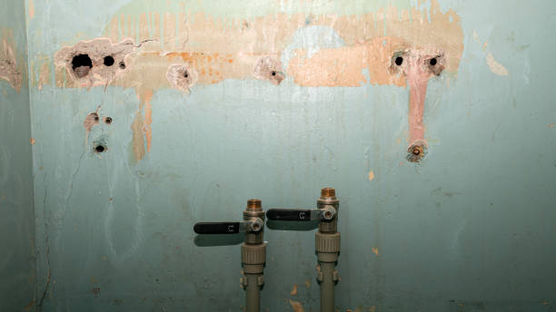 Best Water damage restoration near me  in Advae, NC