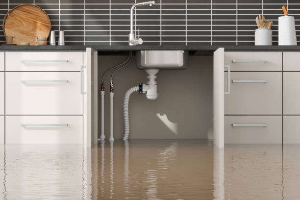 Best Basement water damage restoration  in Advae, NC