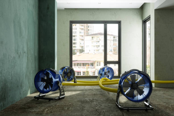 Best Fire Damage Restoration  in Advae, NC